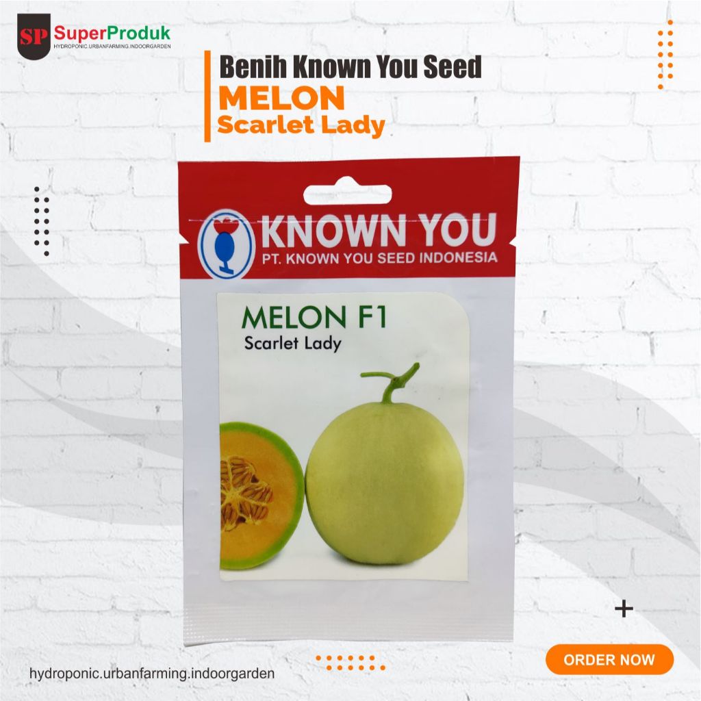 Benih Melon Scralet Lady Known You Seed