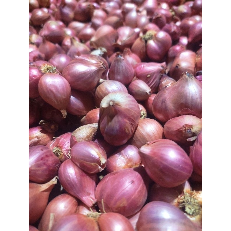 

Bawang Merah 500gr Lokal Campur // Bamer besar mix sedang// Brambang 1/2kg