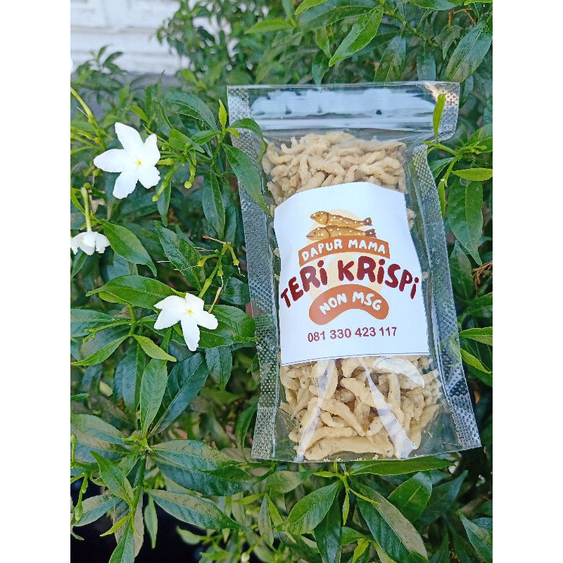 

TERI CRISPY SUPER NON MSG