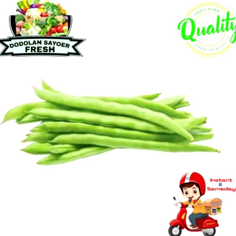 

Buncis Muda /buncis Fresh pilihan