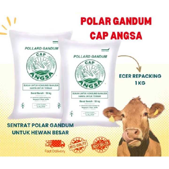 POLAR GANDUM ECER 1 KG / DEDAK GANDUM 1  KG/ PAKAN TERNAK POLLARD GANDUM ANGSA ECERAN 1 KG