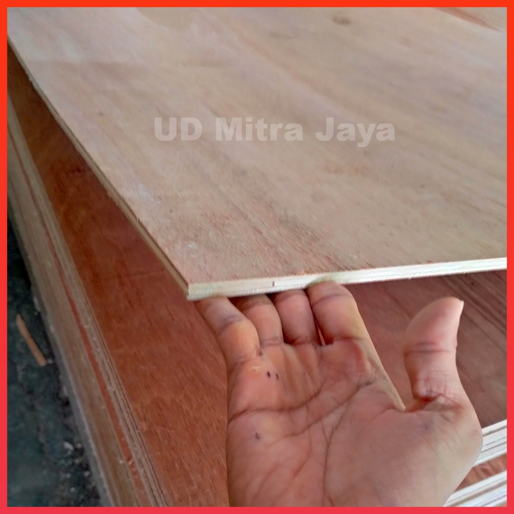 Triplek cor bangunan tebal 8mm