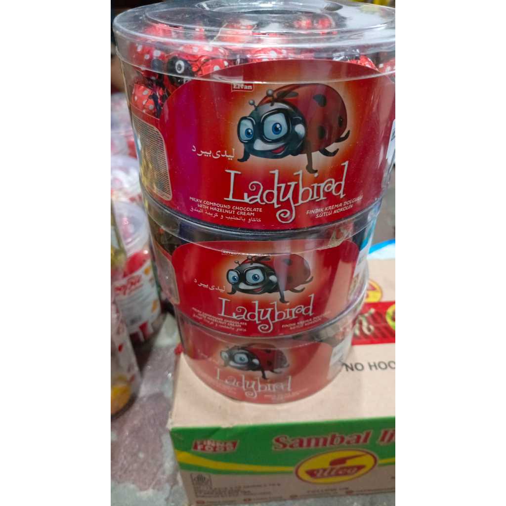 

ELVAN COKELAT TURKY LADY BIRD