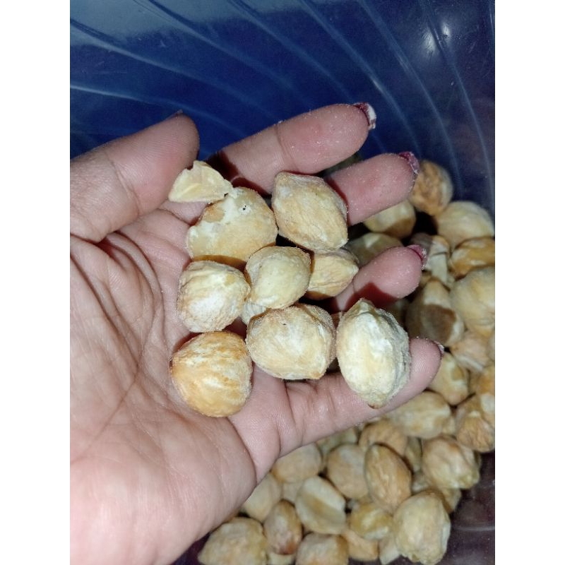 

kemiri