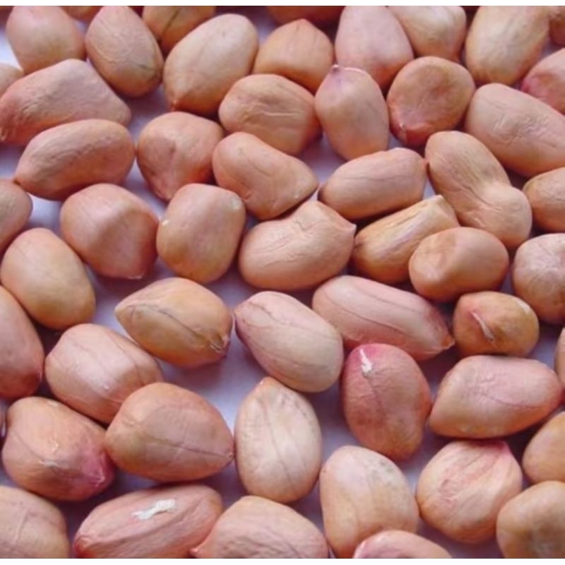 

Kacang Tanah Kupas / Kacang Wose 1kg