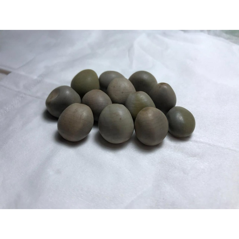 

Buah Bambu Langka 11 Biji Asli Kalimantan 033