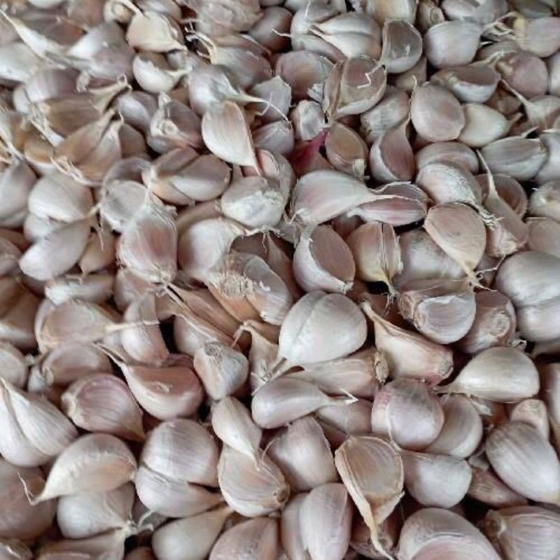 

Bawang Putih kating 250g