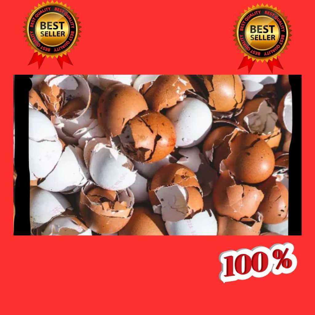 PALING DICARI.. Cangkang Telur Ayam Halus