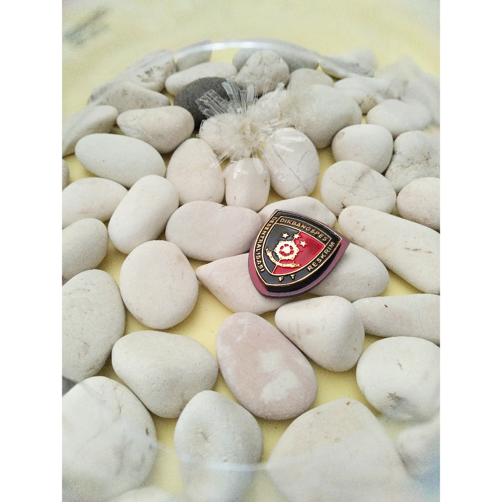 Pin polisi dikbangspes reskrim