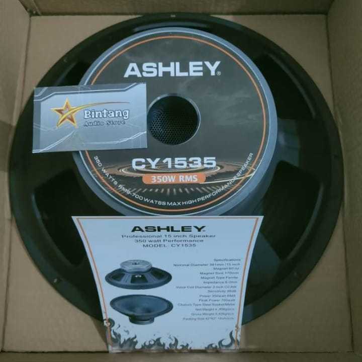 Spiker Ashley 15" CY1535 Speaker 15 inch Original CY 1535