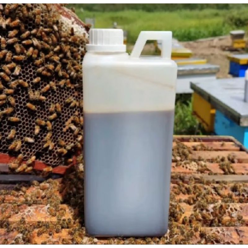 

Madu Akasia 1 kg Pekanbaru Riau
