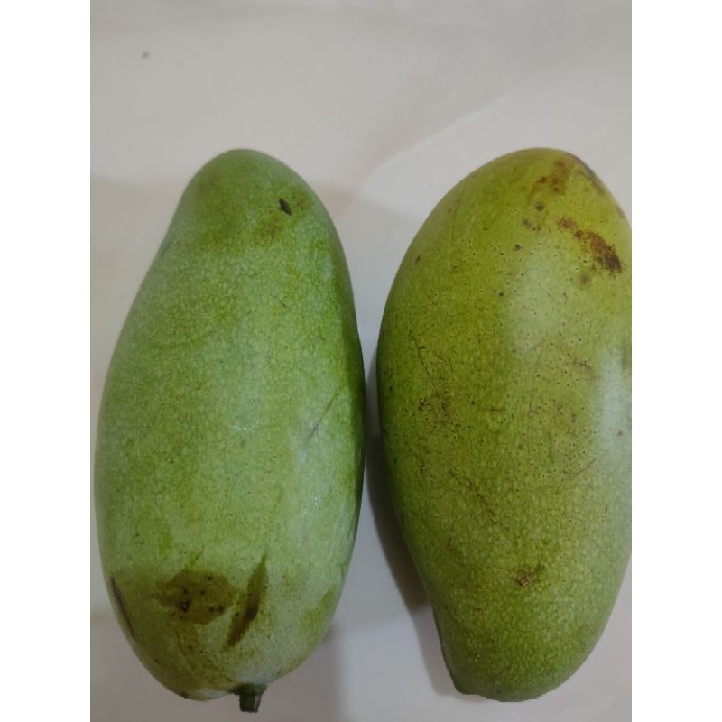 

mangga muda ada juga yang masak