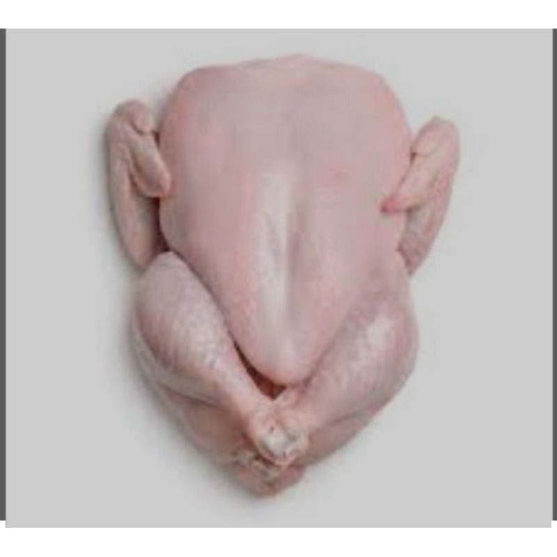 

Ayam Karkas boiler ( happy to help payment cash or tempo )