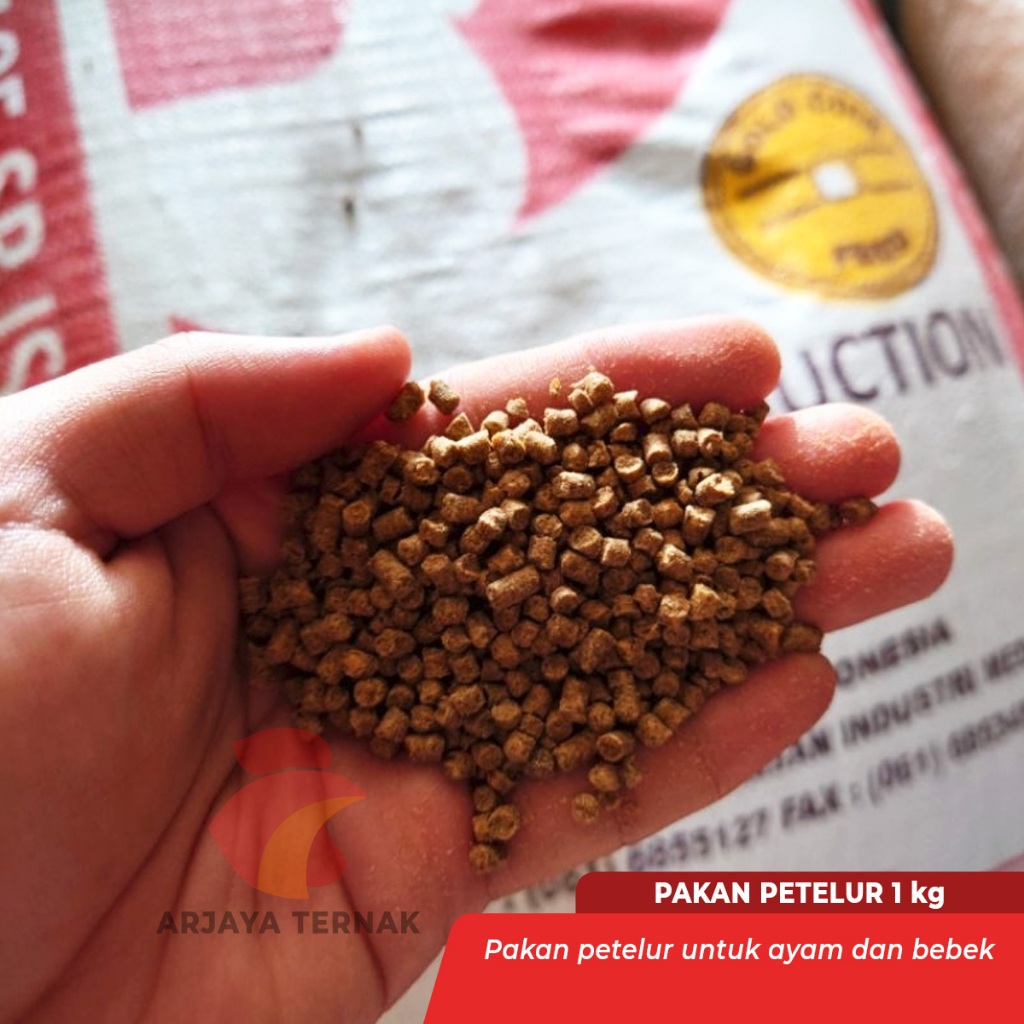 Pakan atau pur ayam petelur dan bebek petelur tinggi protein