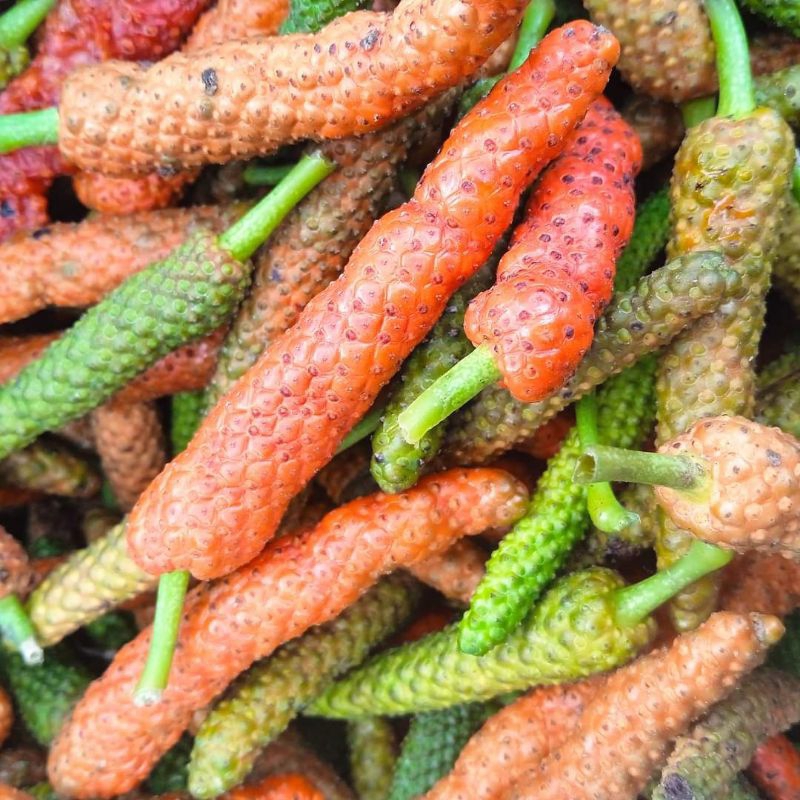 

Cabe Jamu / Cabe Jawa Masak Segar Petik Langsung Kirim 100gram