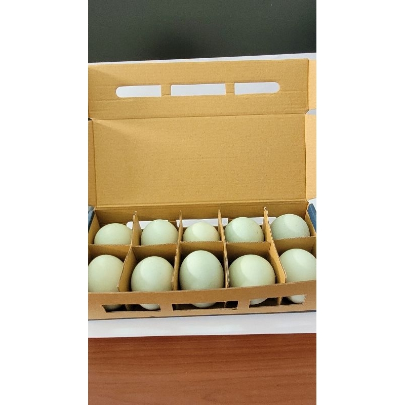 

Telur asin ( jawa timur)