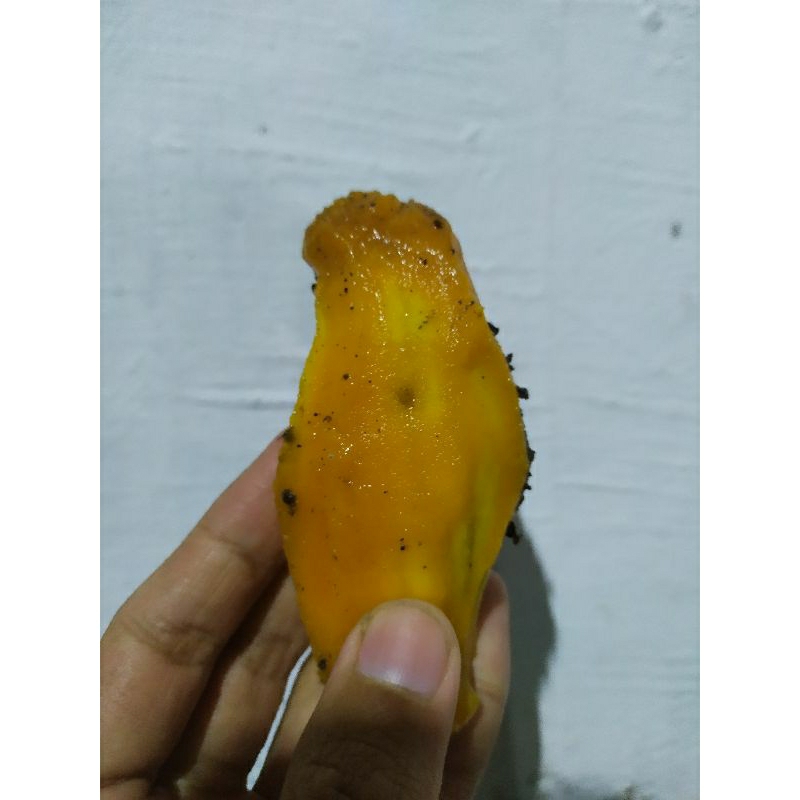 

Biji Mangga