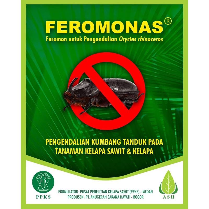 Pengendali Hama Kumbang Tanduk pada Kelapa Sawit