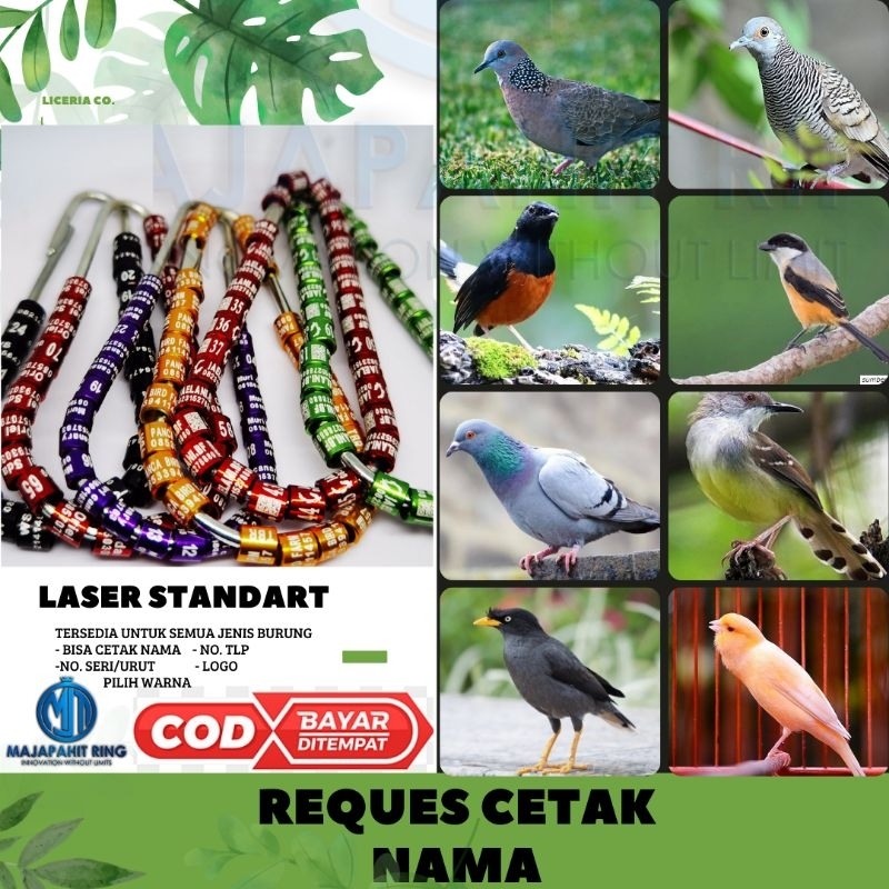 RING BURUNG 1 LASER REQUES NAMA PLECII FINCH KONIN SOGON EMPRIT EMJE 2.5mm 2.7MM