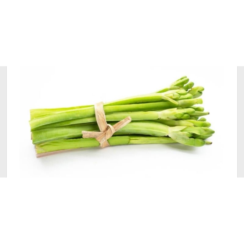 

sayur genjer 2ikat