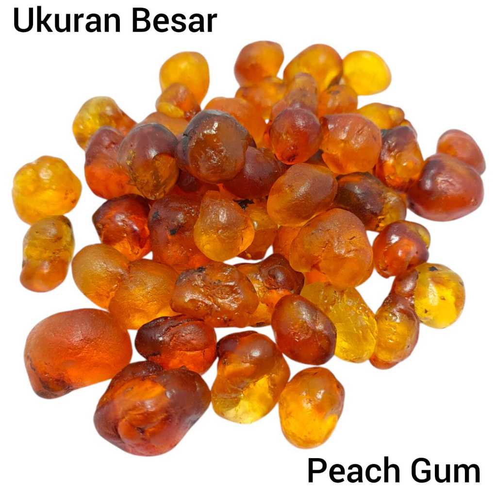 

Peach Gum Pearl Super Premium Grade 500 Gram Tao Jiao