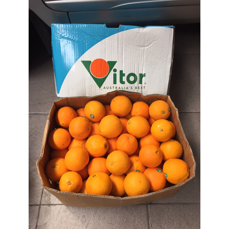 

Jeruk Sunkis Navel Late Lane Vitorr 1 Dus (18 KG) Fresh Import