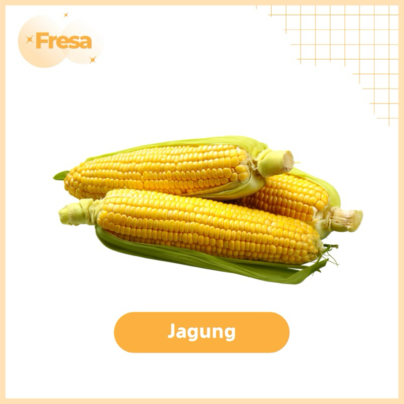 

Jagung Super 1 Kg Fresh & Sehat | Fresa Mart