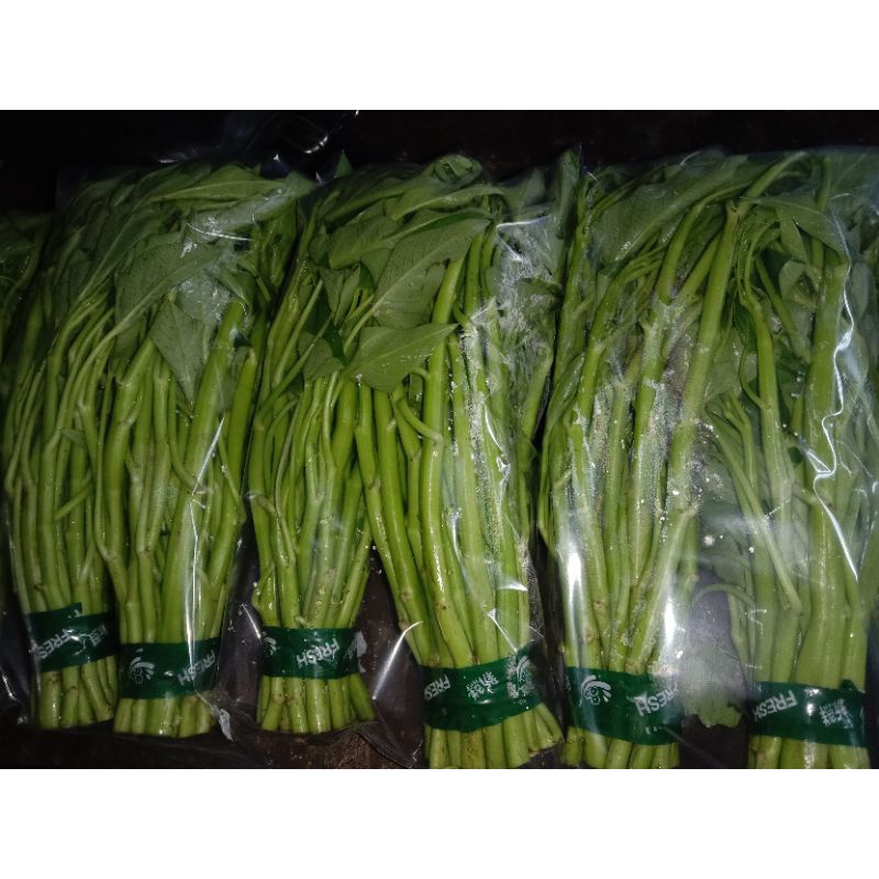 

kangkung lombok