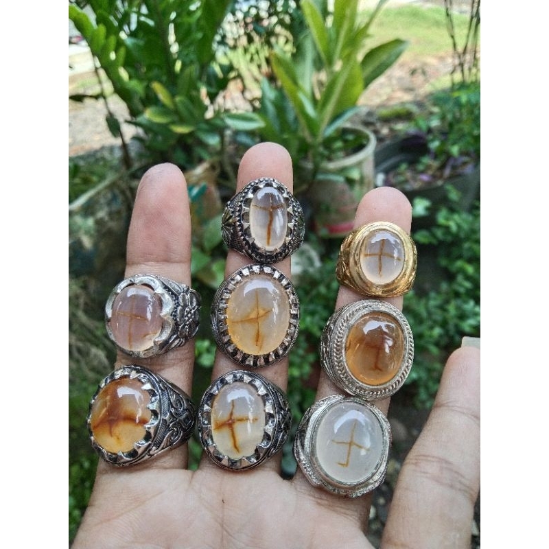 natural tapak jalak asli alam