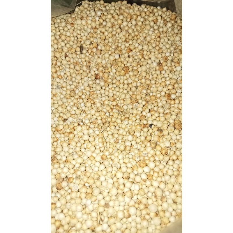 

KETUMBAR KUNING ASLI FULL 1KG firal.