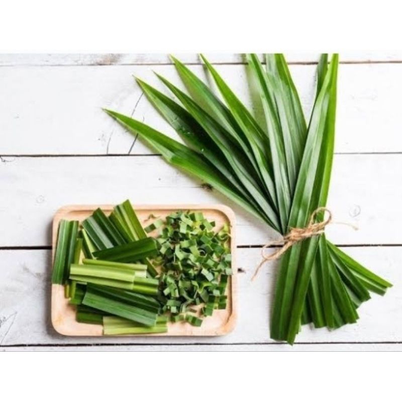 

daun pandan wangi/segar/1 ikat isi 20helai