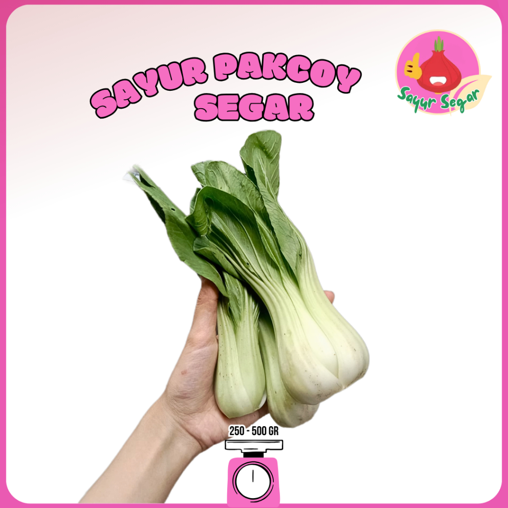 

Sayur Segar - Pakcoy Segar / Bok Choy