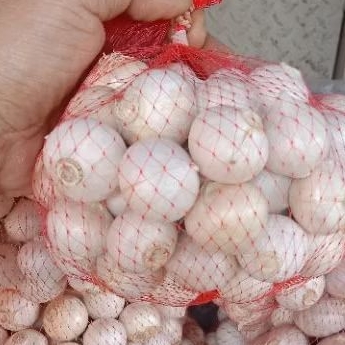 

BAWANG TUNGGAL PUTIH GREAT A 200gr
