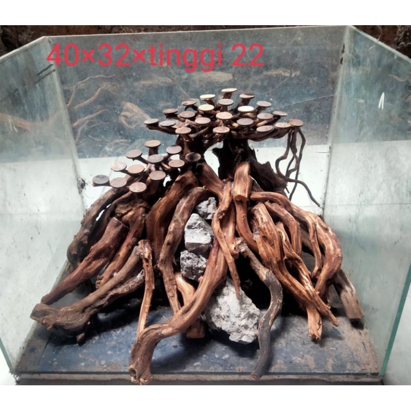 BONSAI AQUASCAPE || HARDSCAPE BONSAI AQUASCAPE