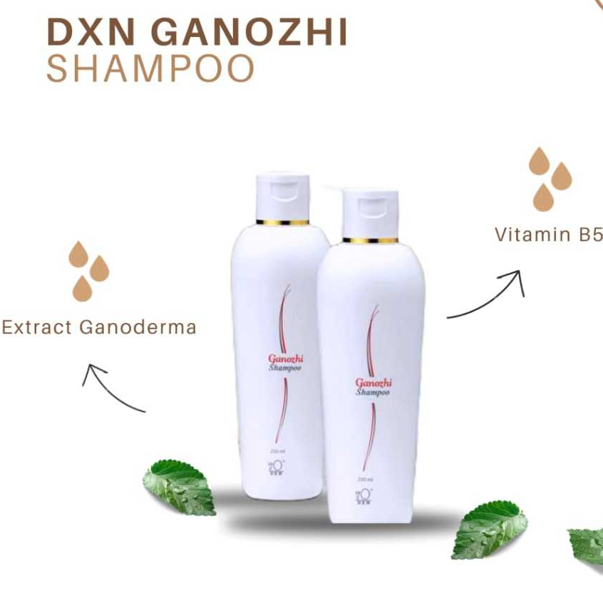 Ganozhi Shampoo dxn anti rontok perawatan rambut