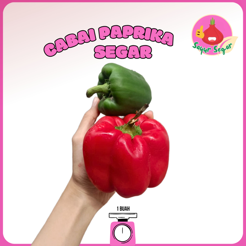 

Sayur Segar - Cabai Paprika Segar / Fresh Paprika