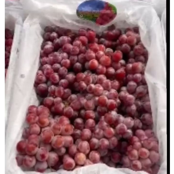 

Buah Anggur Red Globe Zhong Guo jual per BOK Krat