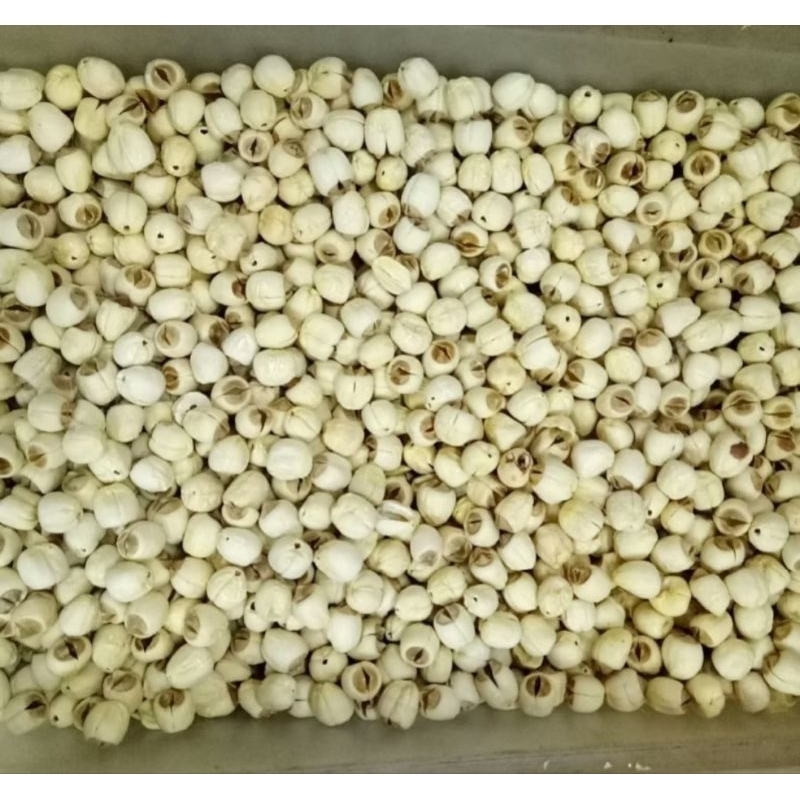 

RB [500Gram] Premium Lian zi Lotus seed lianzi biji teratai lianzhi lianci lienzi lienzhi
