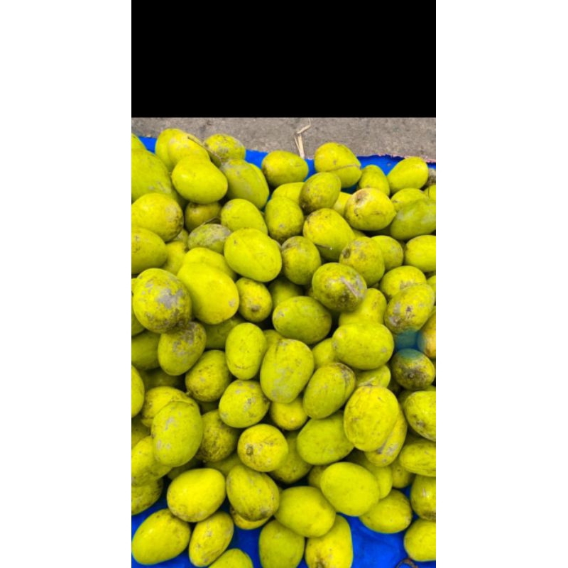 

asam tuha / ampalam