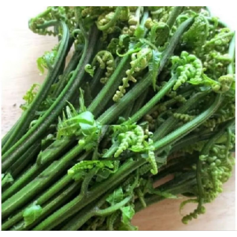 

pakis paku sayur segar fresh 500gram