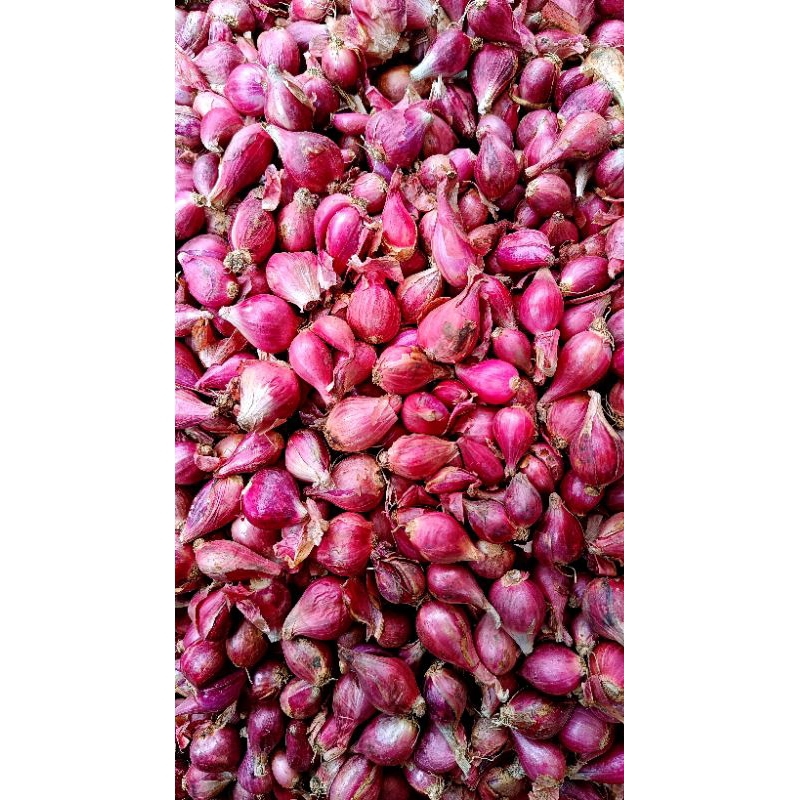 

bawang merah 1kg