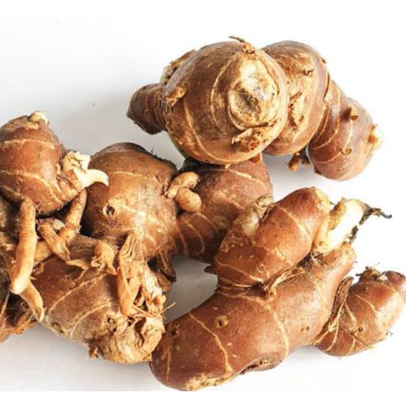 

Kencur Bumbu Masak