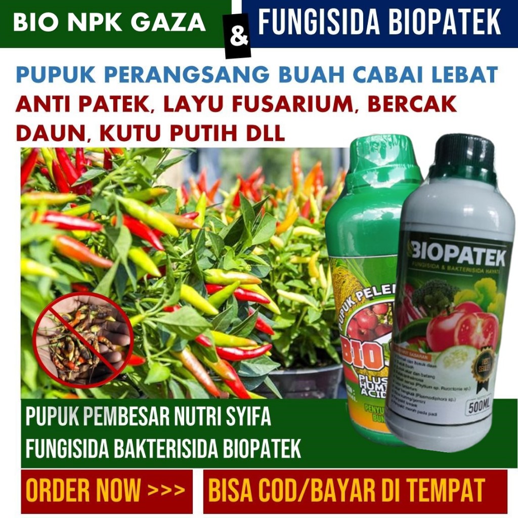 PAKET BIOPATEK & NPK GAZA - PUPUK ORGANIK Cair Semprot Penyubur CABE dan ATASI HAMA CABE Terbaik - P