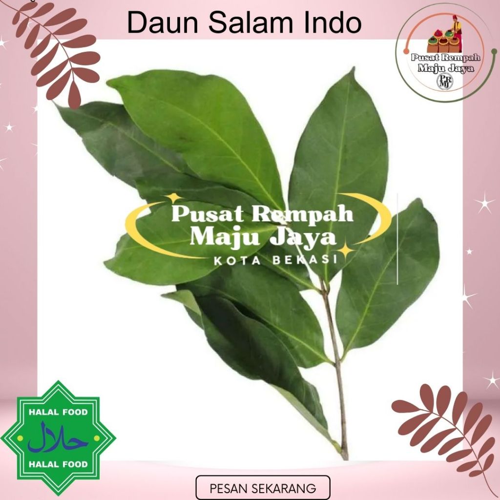 

Daun salam indonesia 10 lembar