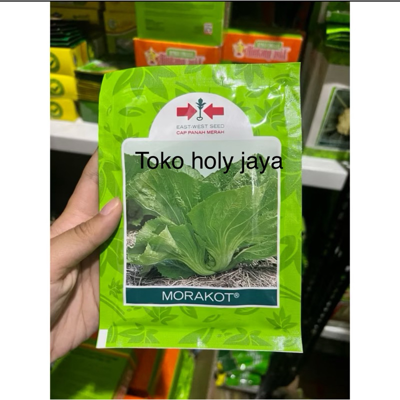 Benih sawi MORAKOT 20 gram sawi pahit marokot dari panah merah