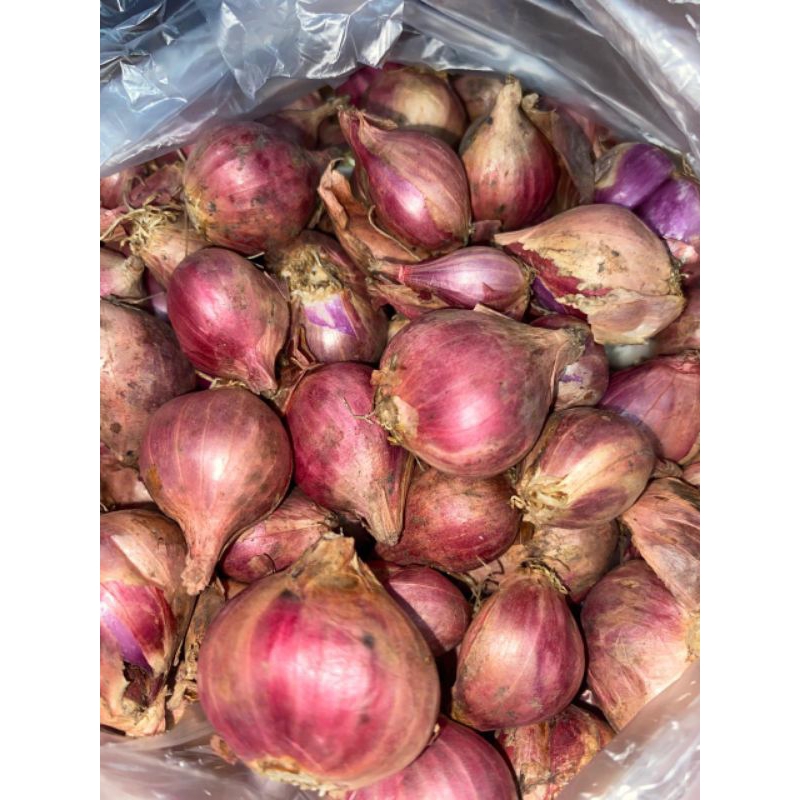 

Bawang merah brebes 500gram