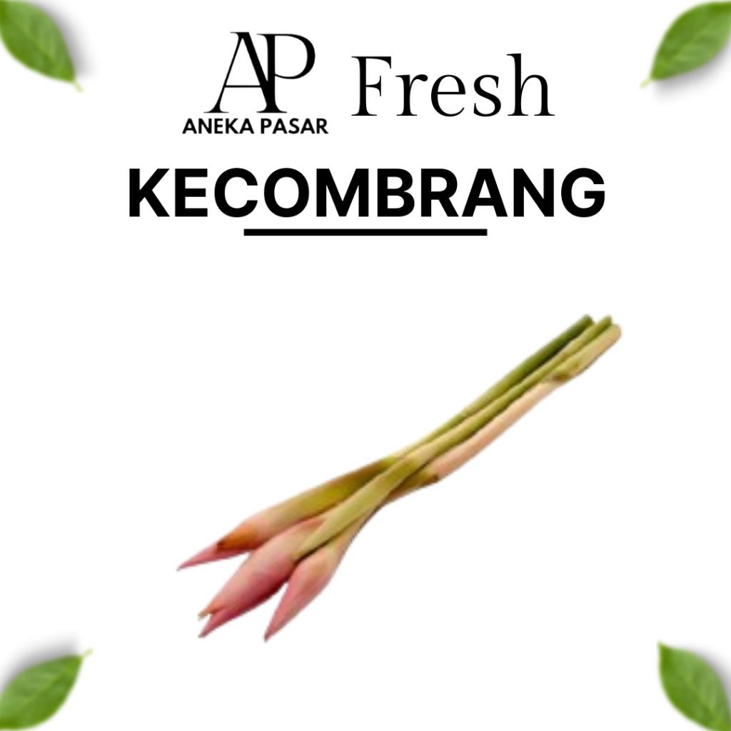 

KECOMBRANG - 1 Batang Sayur Sayuran Segar