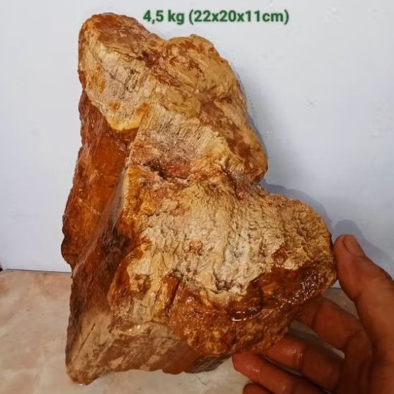 batu akik bahan fosil kayu aren (717)