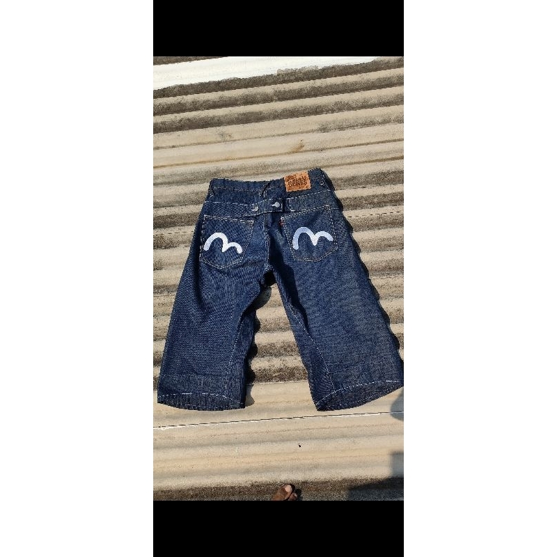 evisu jorts pants