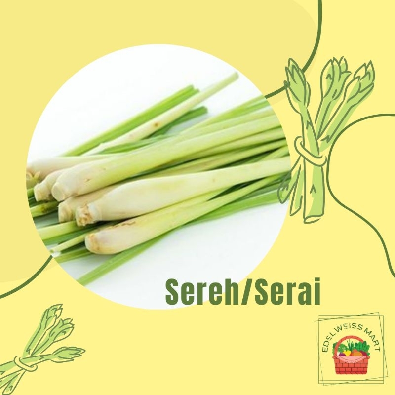 

SEREH/SERAI 100g (FRESH) - INSTANT SEMARANG